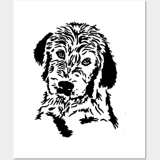 Labradoodle Face Posters and Art